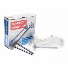 Клапан впуск/выпуск ВАЗ-21083 комплект 8шт., 21080-1007010-99, AVTOSTANDART